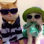 vittinho_doido2024