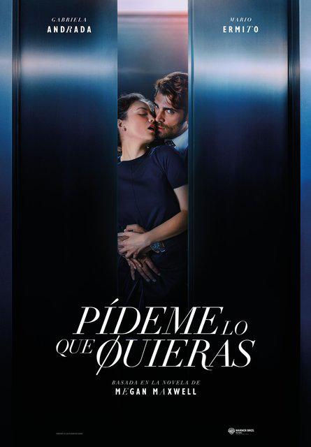 Pôster do Filme Pídeme lo que quieras
